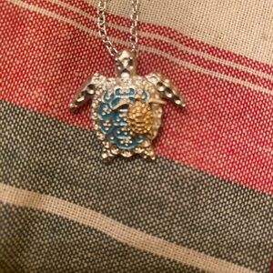 Silver and Gold Turtle Pendant Necklace